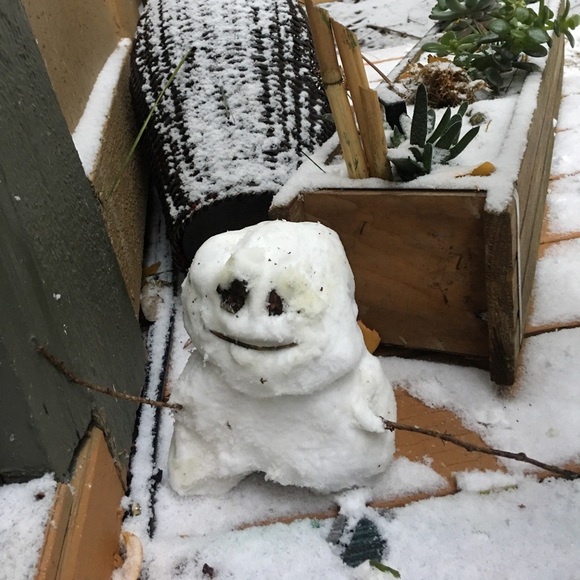 Meet your Posher, D.L. - Picture 2 of 2